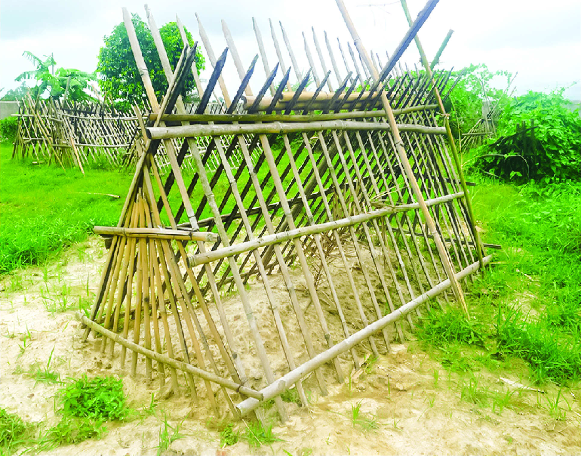 Image of আশাদুজ্জামান নূর সূর্য্য